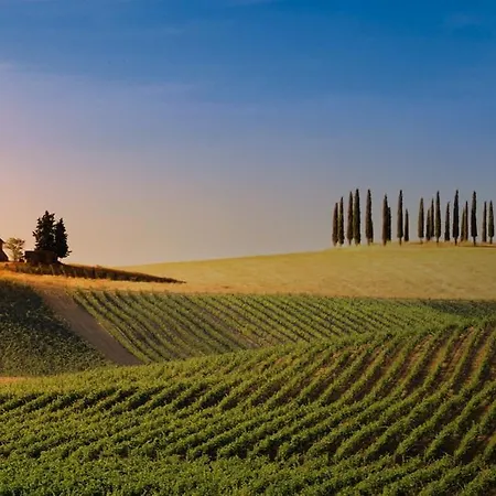 Sole * Siena